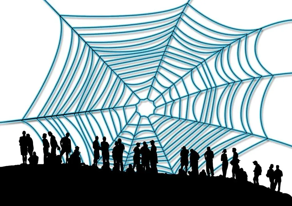 spider web, web, internet-69908.jpg